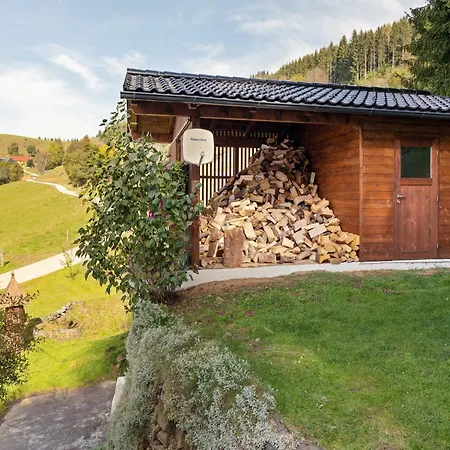 Alpine Hut In Eberstein Near Ski Area *