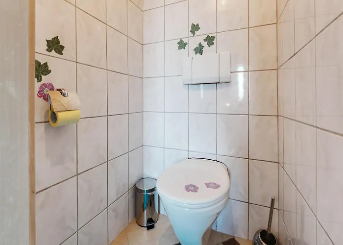 Alpine Hut In Near Area *