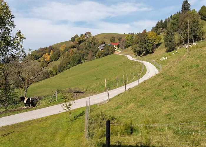 Vakantiehuis Alpine Hut In Near Area *