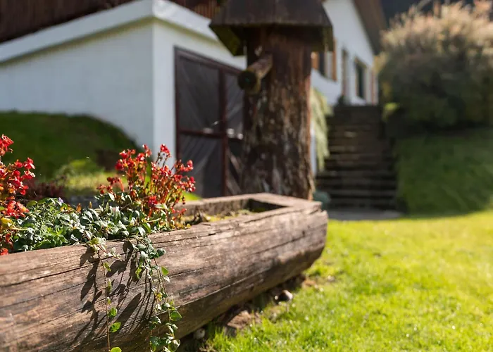 Vakantiehuis Alpine Hut In Near Area *